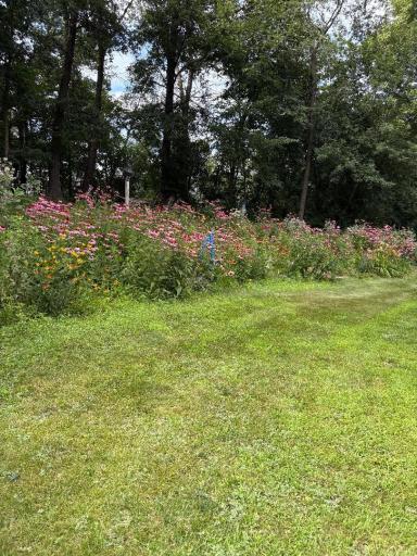 garden 8.jpeg