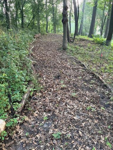 hiking path1.jpeg