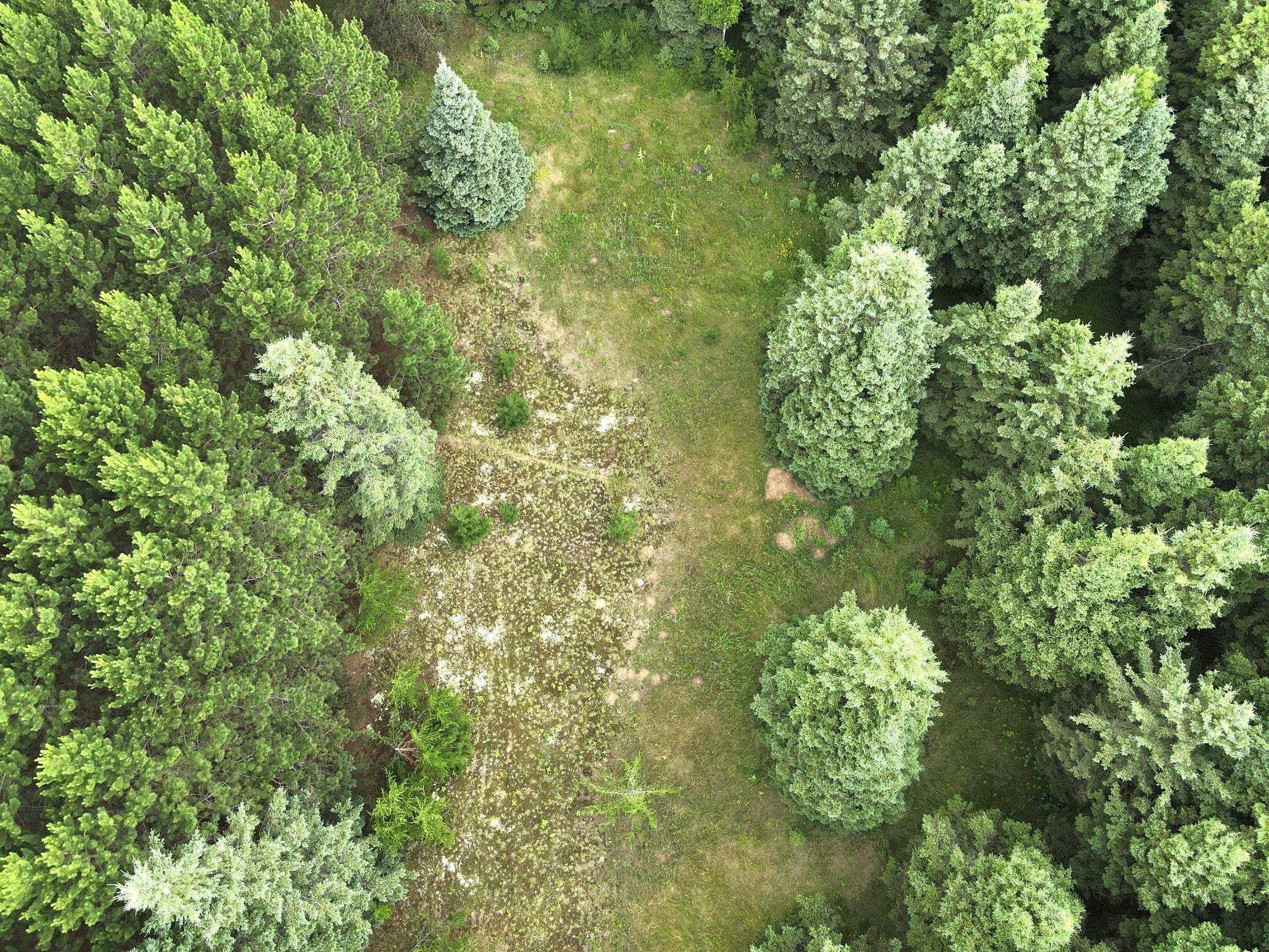 dji_fly_20260708_175936_10_1783551618913_photo.jpeg