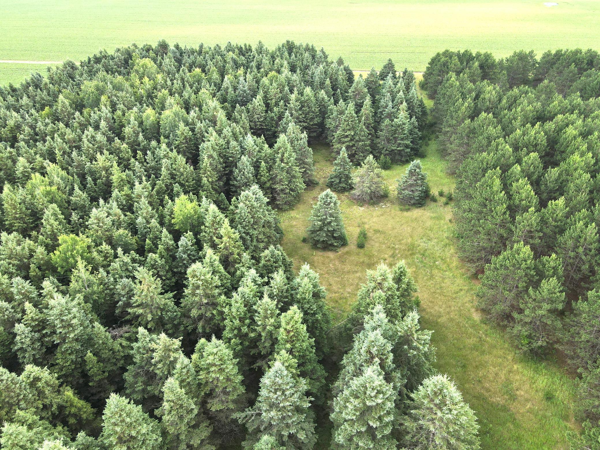 dji_fly_20260708_175812_4_1783551553790_photo.jpeg