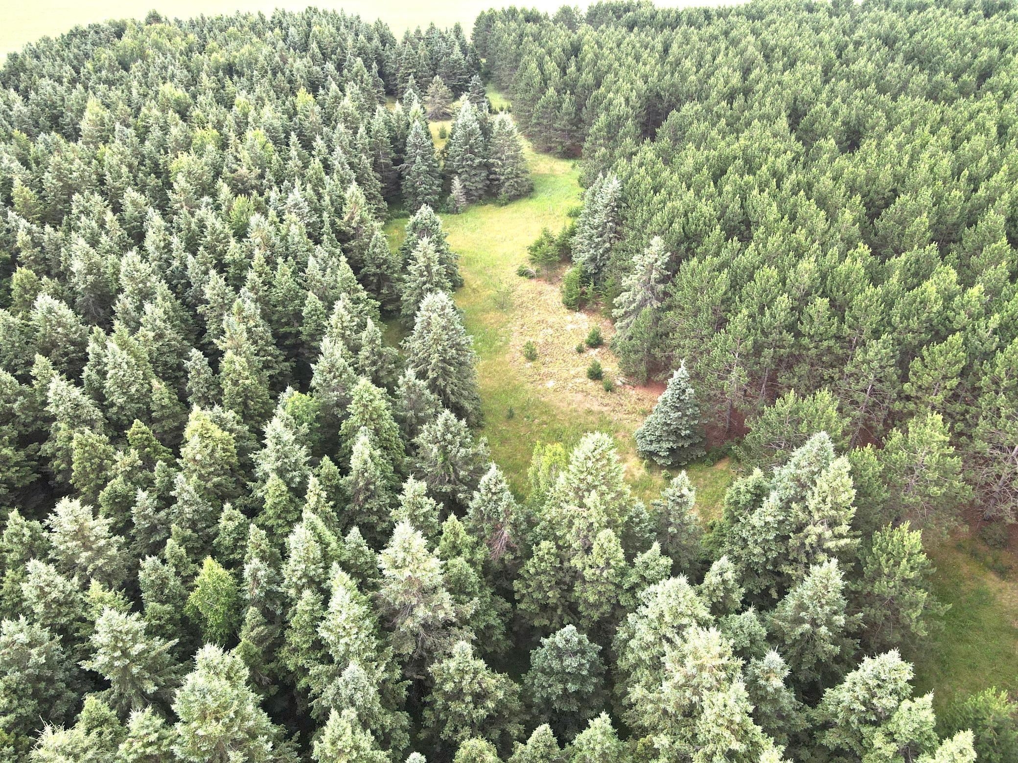 dji_fly_20260708_175754_3_1783551491739_photo.jpeg