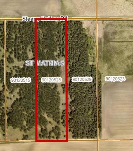 TBD- Parcel C Sleepy Hollow Road, Brainerd, MN 56401