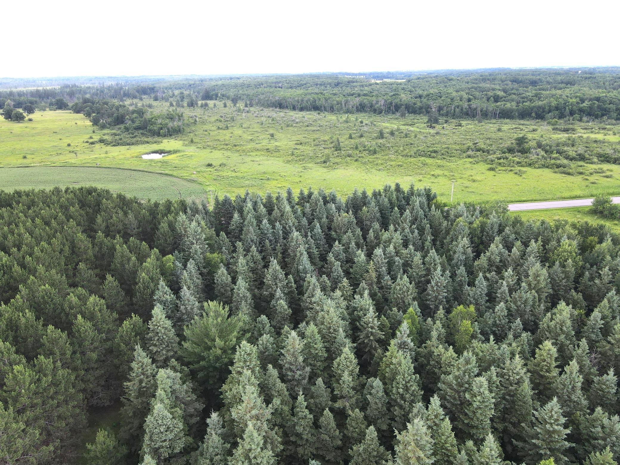 dji_fly_20260708_175950_11_1783551625294_photo.jpeg