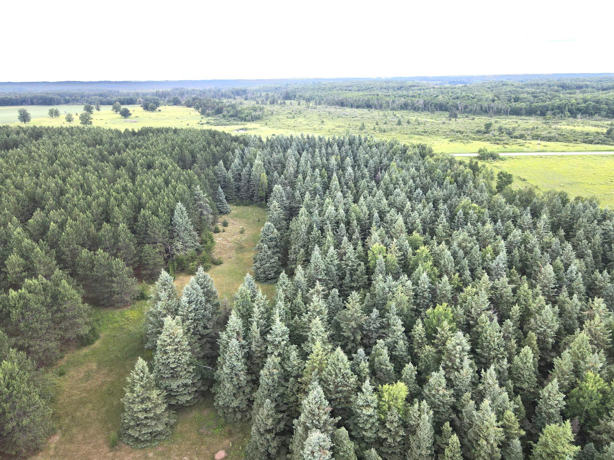 dji_fly_20260708_175848_6_1783551588444_photo.jpeg
