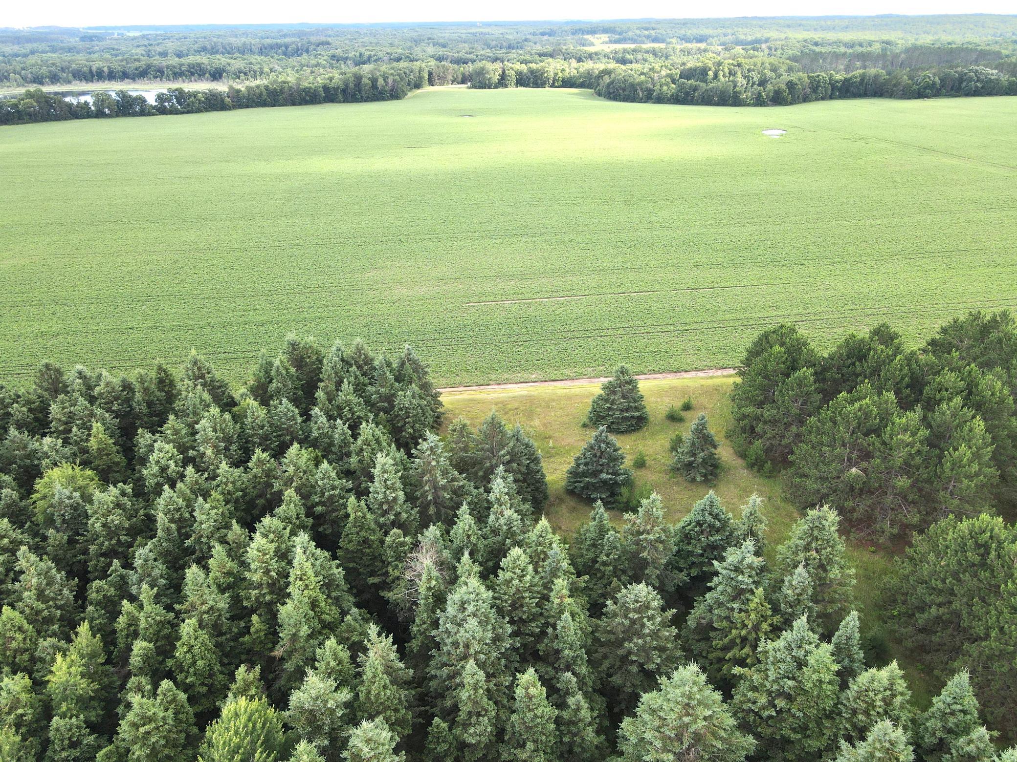 dji_fly_20260708_175832_5_1783551573658_photo.jpeg