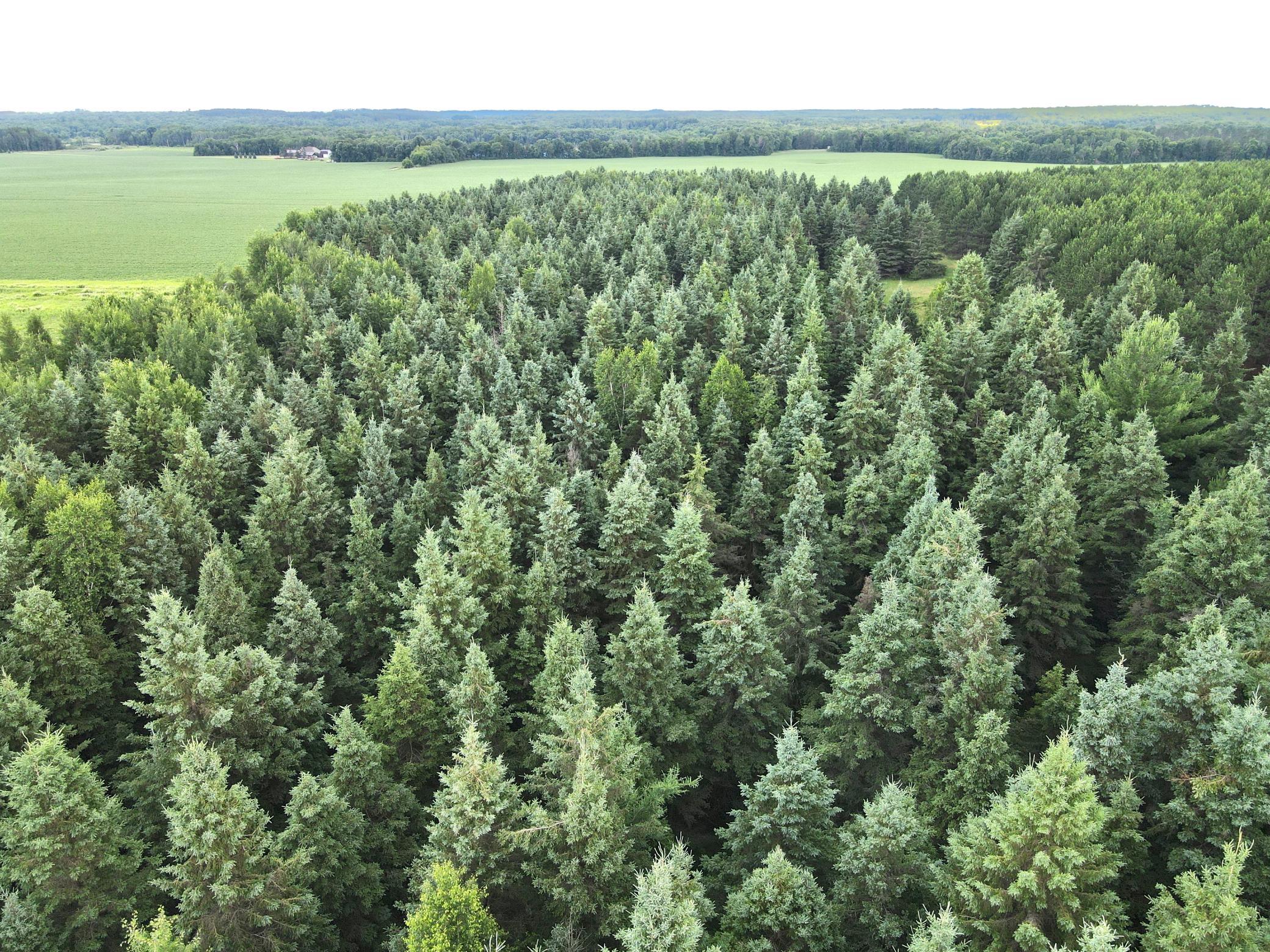 dji_fly_20260708_180026_13_1783551638013_photo.jpeg