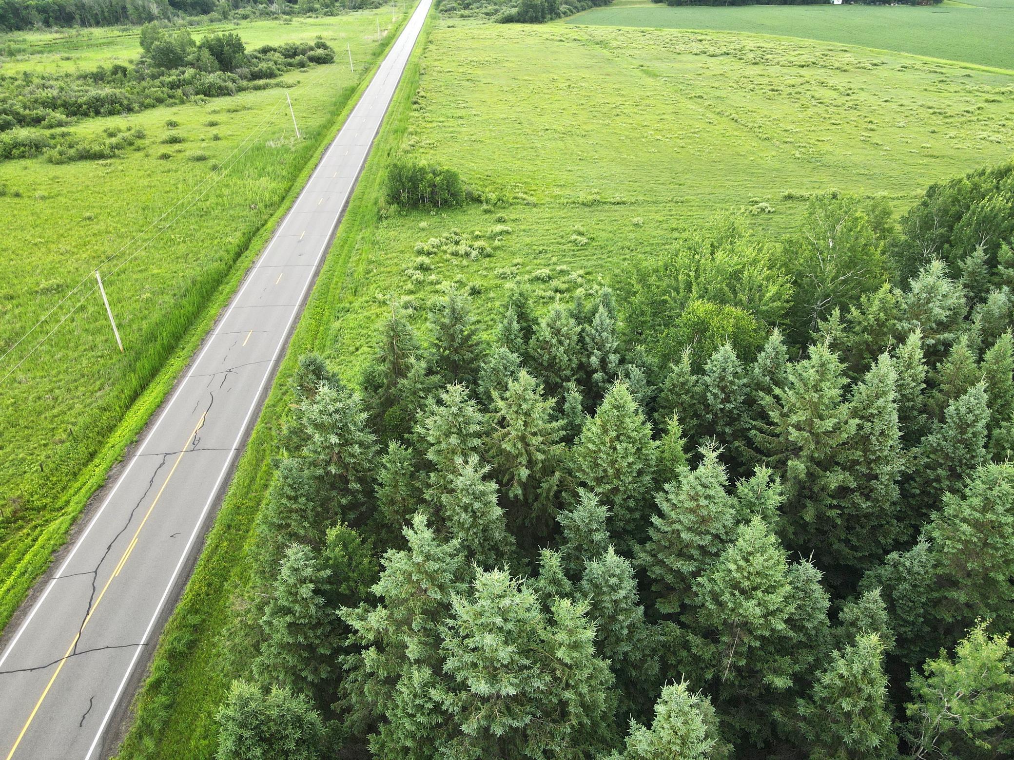 dji_fly_20260708_180018_12_1783551630514_photo.jpeg