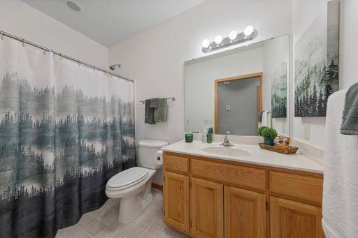 55 Egret Lane, Elysian, MN 56028