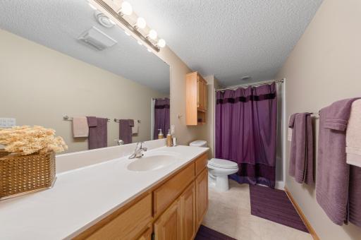 55 Egret Lane, Elysian, MN 56028