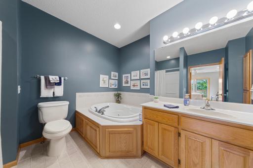 55 Egret Lane, Elysian, MN 56028
