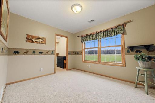 3rd bedroom on upper level with walk in closet