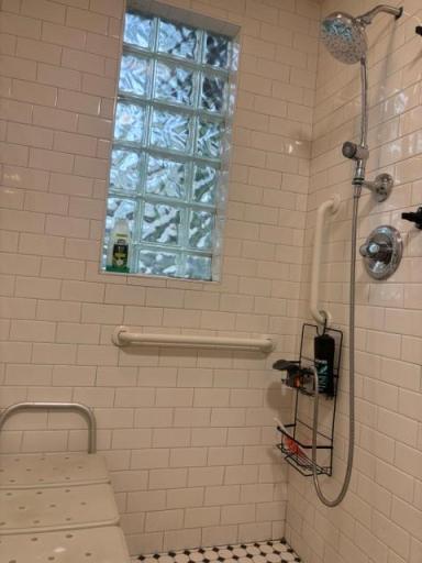 Main unit bath Roll in shower