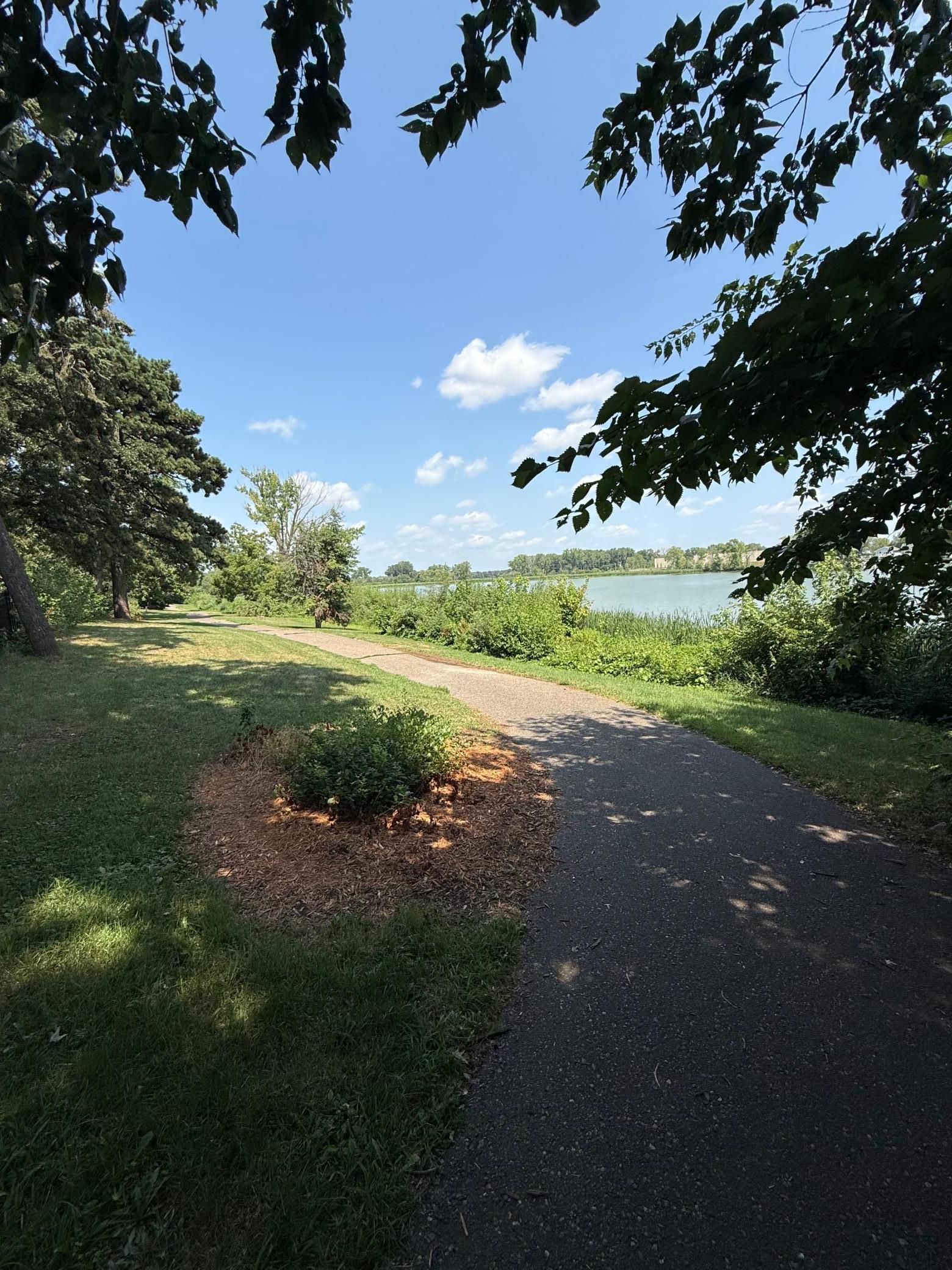Photo 54