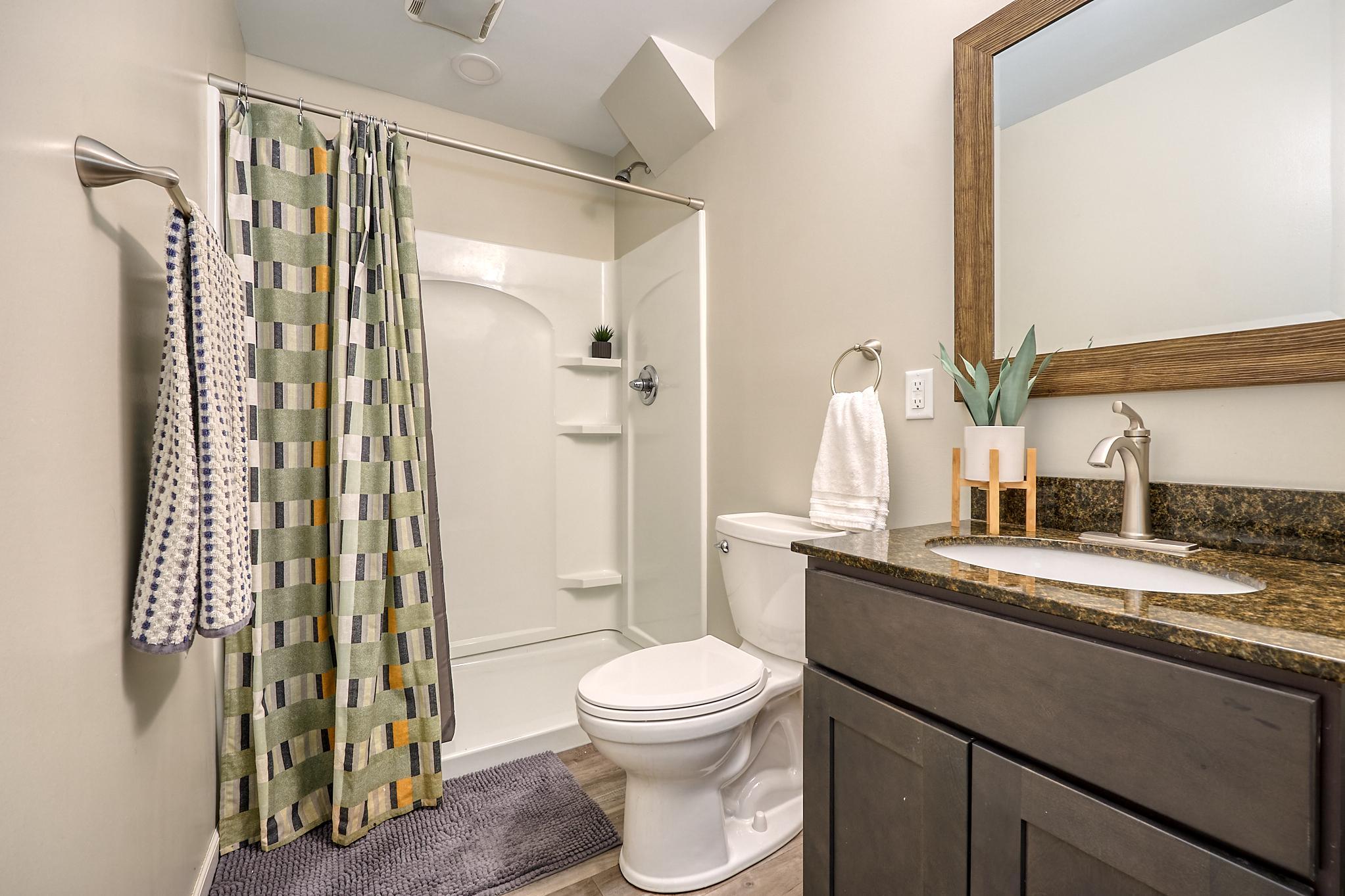 Lower Level Bathroom