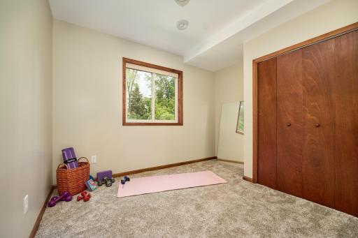 Flex Room, Lower-Level, possible bedroom
