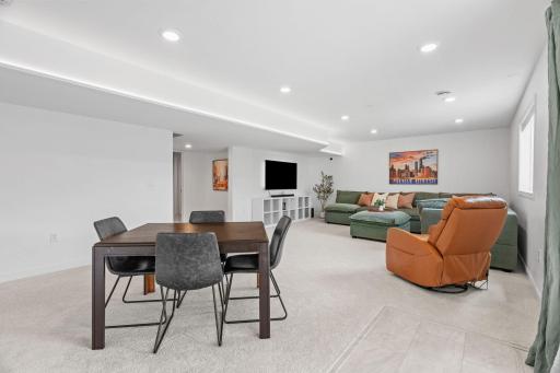 Finished walkout LL w/ tons of natural light, Living Room, addtâl Flex Room/Office, 5th Bed, Full Bath + Storage,