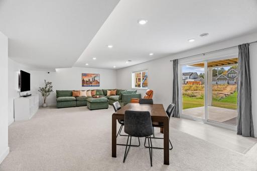Finished walkout LL w/ tons of natural light, Living Room, addtâl Flex Room/Office, 5th Bed, Full Bath + Storage,