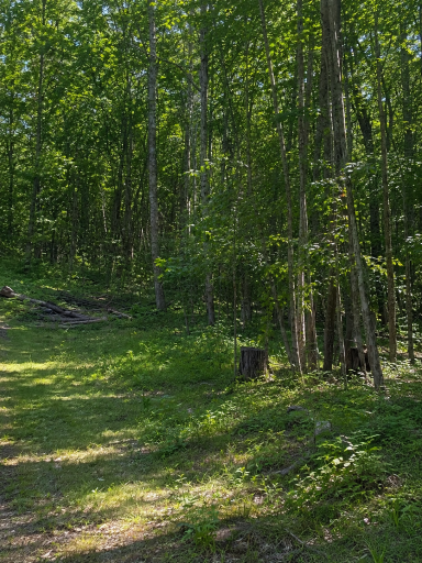 TBD Birchcurve Road, Randall, MN 56475
