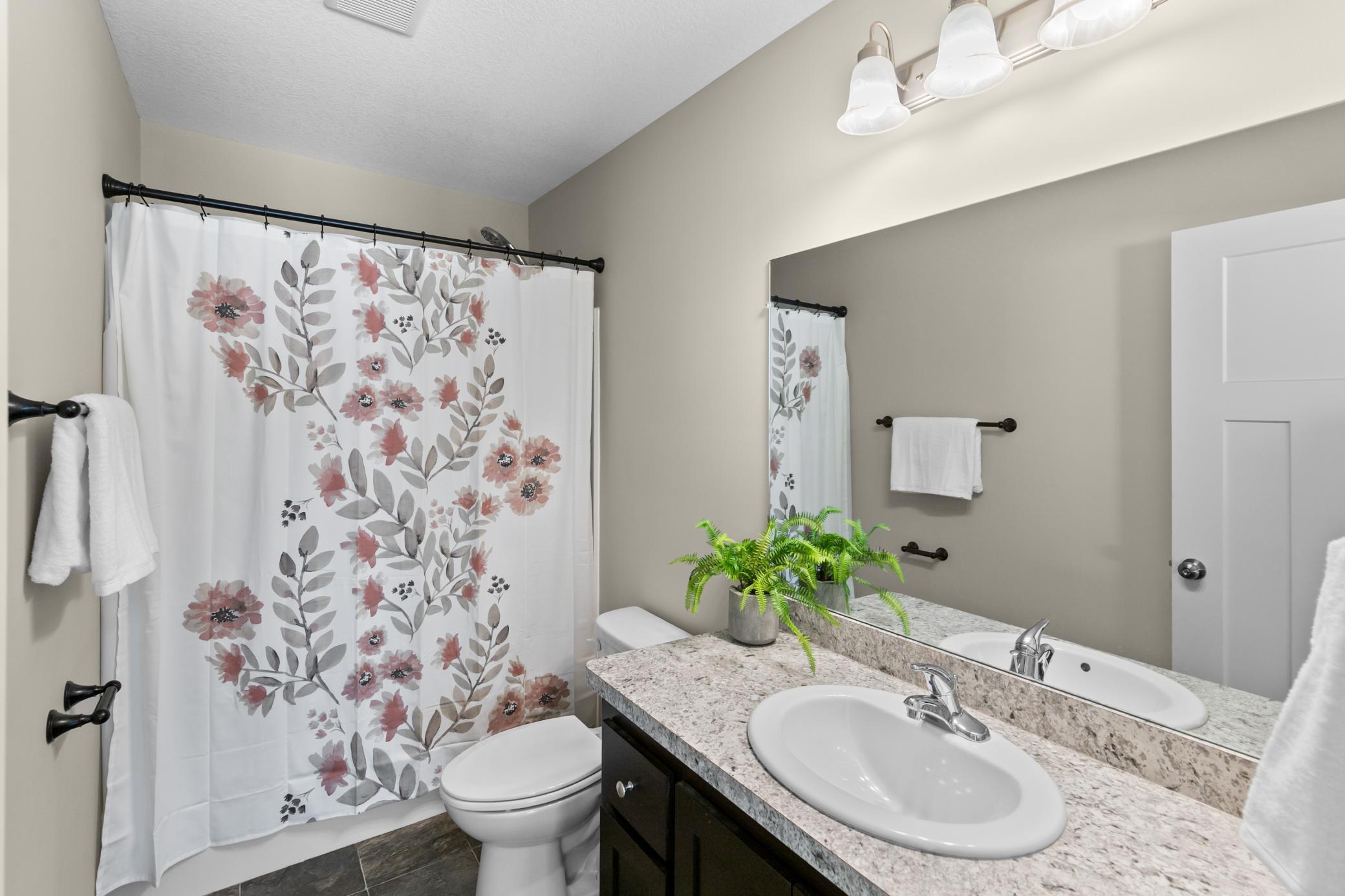 Full lower level Bathroom