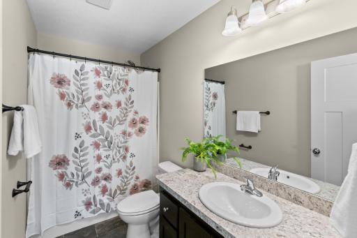 Full lower level Bathroom