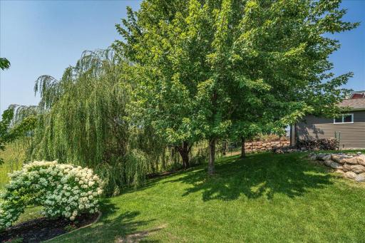 Backyard.