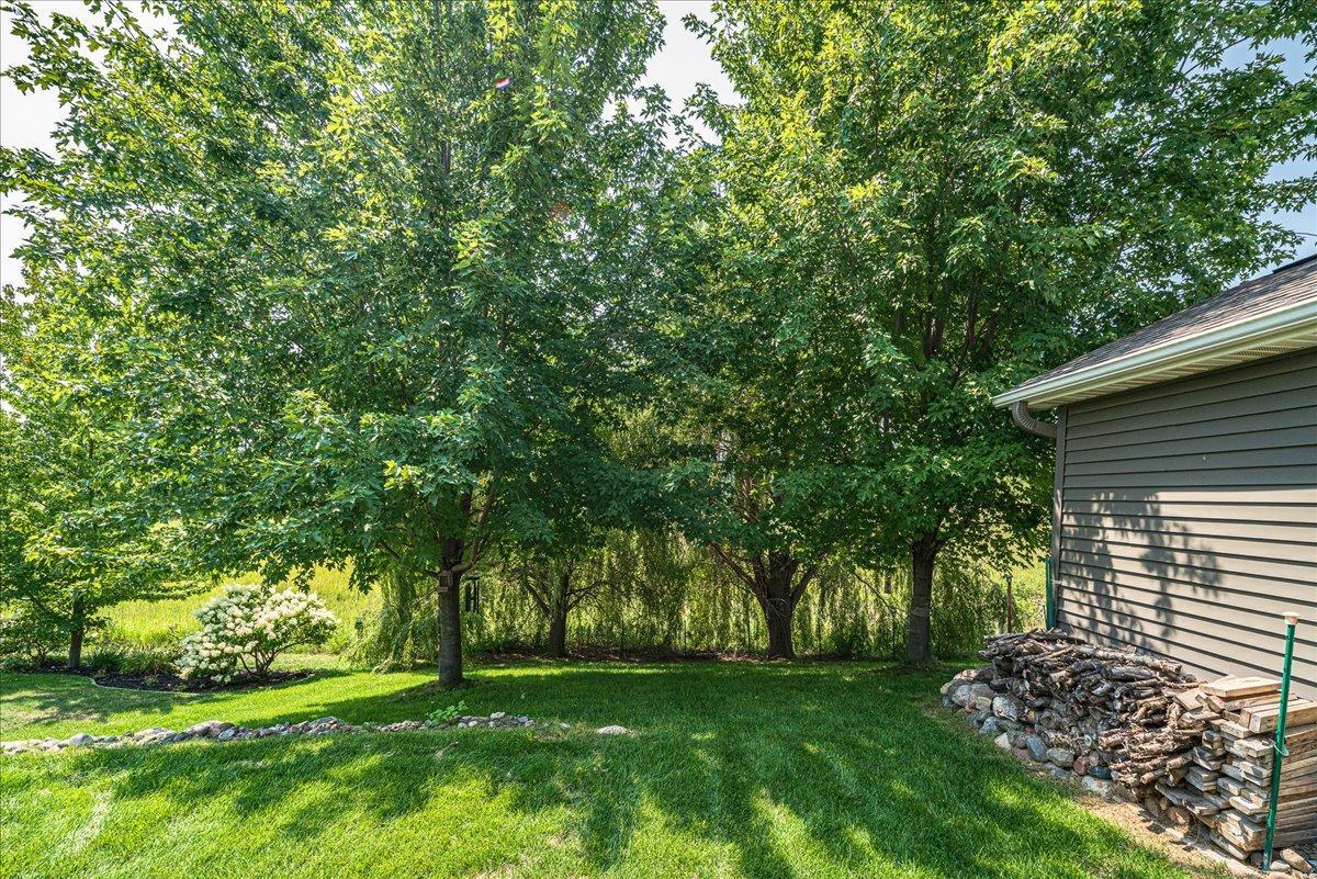 Backyard.