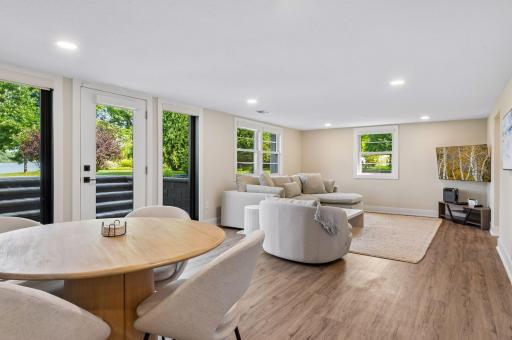 Lower level family room + walk out