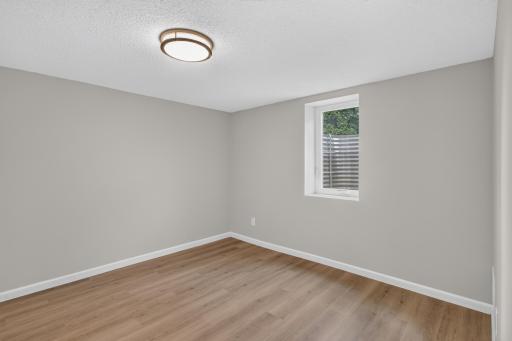 Lower level 3rd bedroom