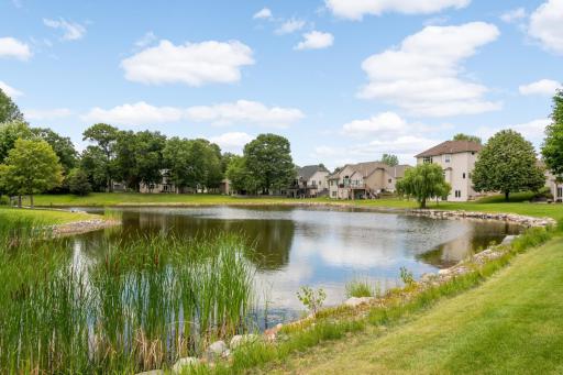 The Large Pond Offers Fabulous Views And Privacy. Most Neighborhoods Have Yards That Are Close Together, On Both Side And In The Back