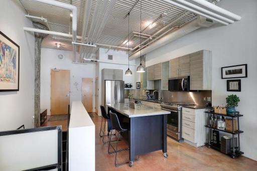 225 9th Street E, 107, Saint Paul, MN 55101