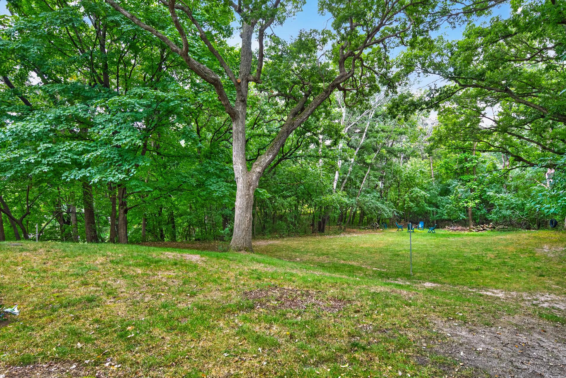 Mature trees and tons of privacy!