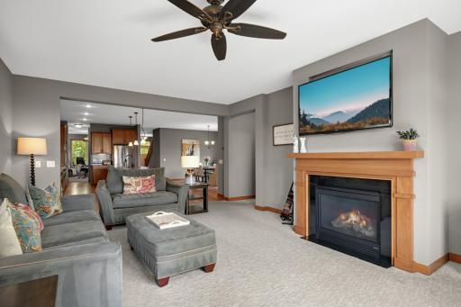 Living room view with gas fireplace