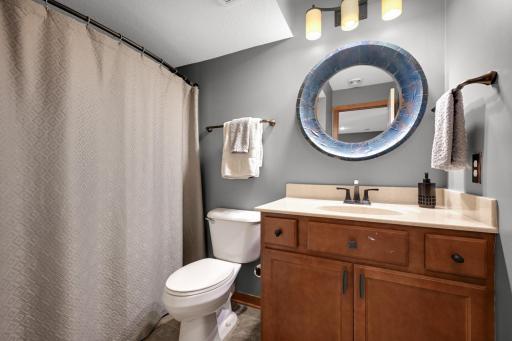 Lower level full bath view