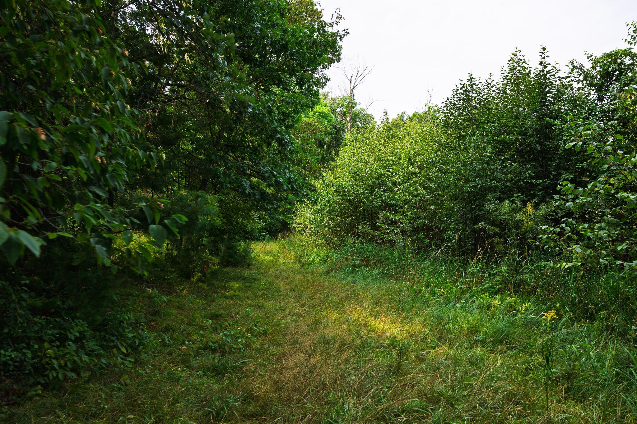 3R7A0800.jpg