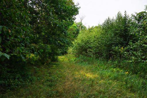 TBD County Road 23, Brainerd, MN 56401
