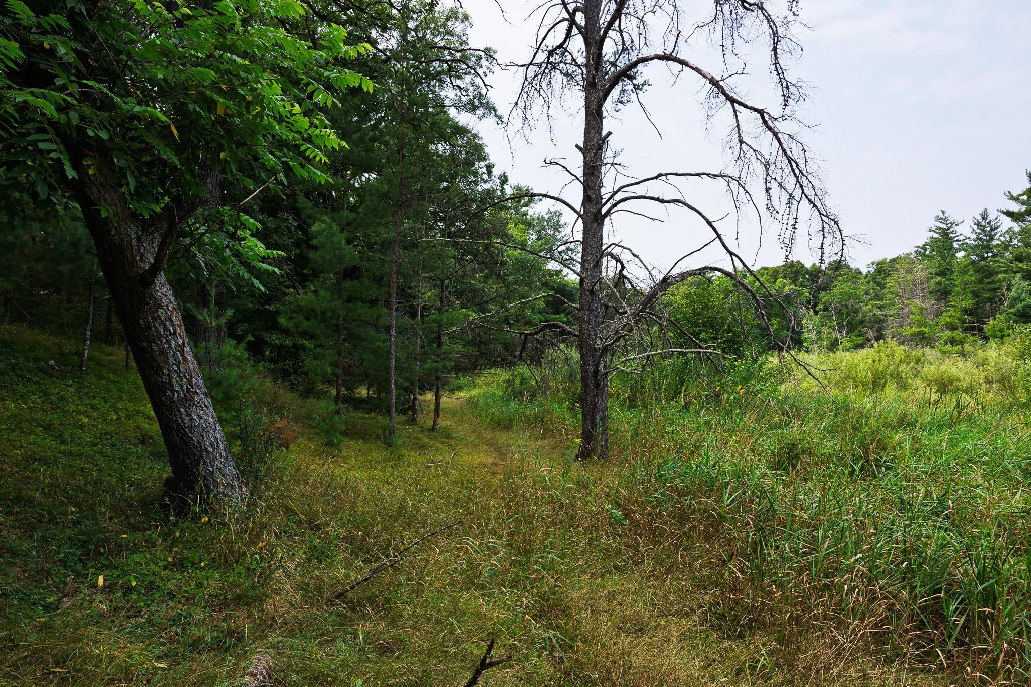 3R7A0789.jpg