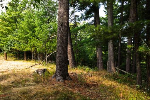 TBD County Road 23, Brainerd, MN 56401