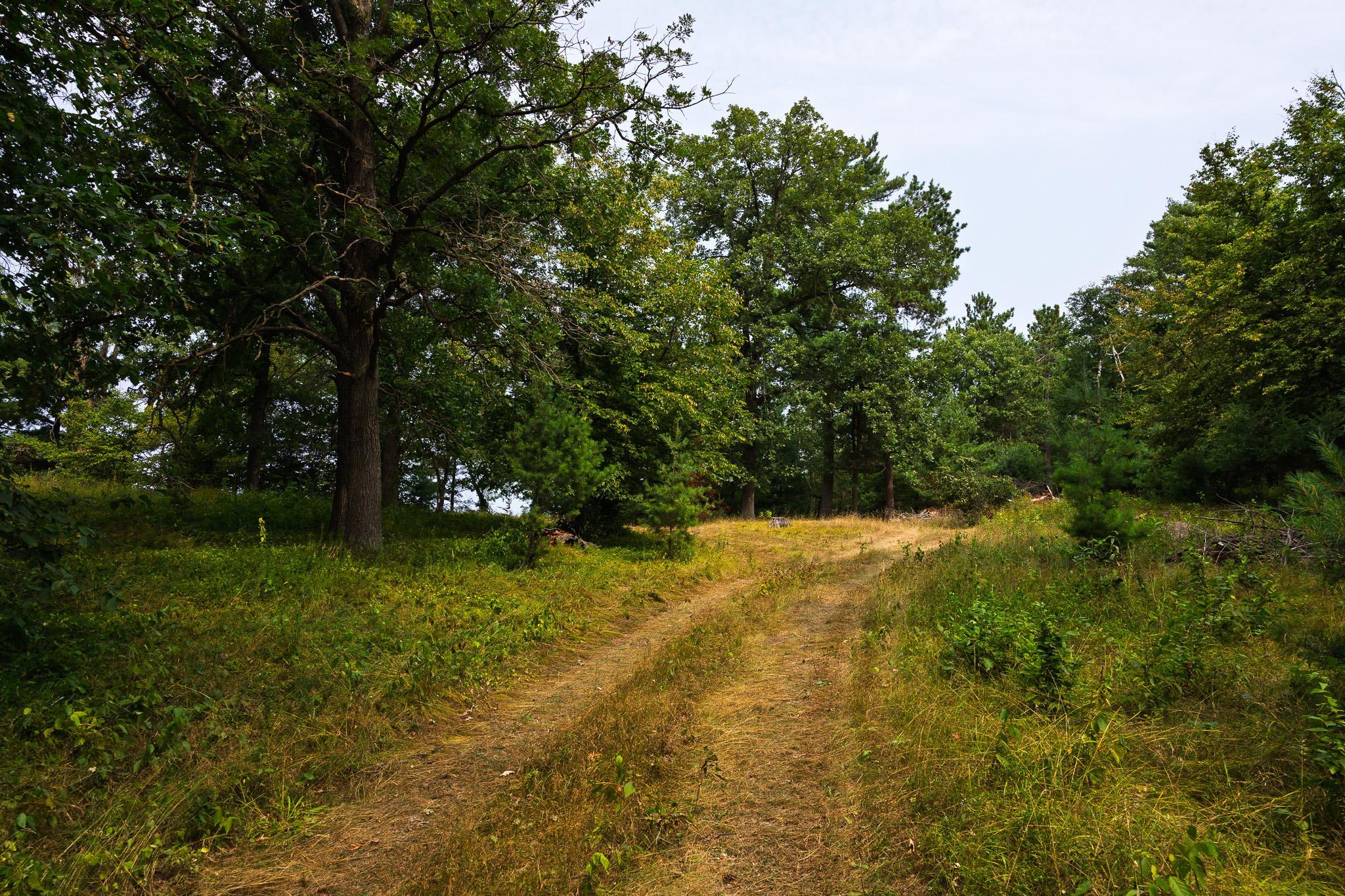 3R7A0850.jpg