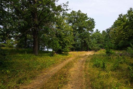 TBD County Road 23, Brainerd, MN 56401