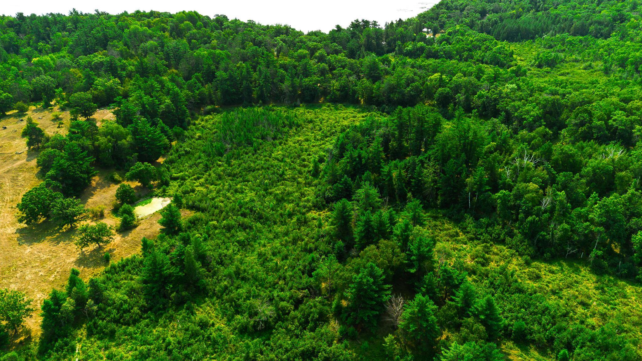 DJI_0153.jpg