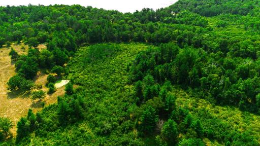TBD County Road 23, Brainerd, MN 56401