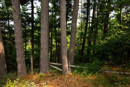 TBD County Road 23, Brainerd, MN 56401