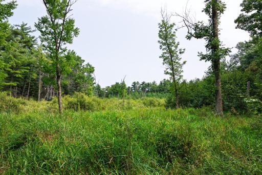 TBD County Road 23, Brainerd, MN 56401