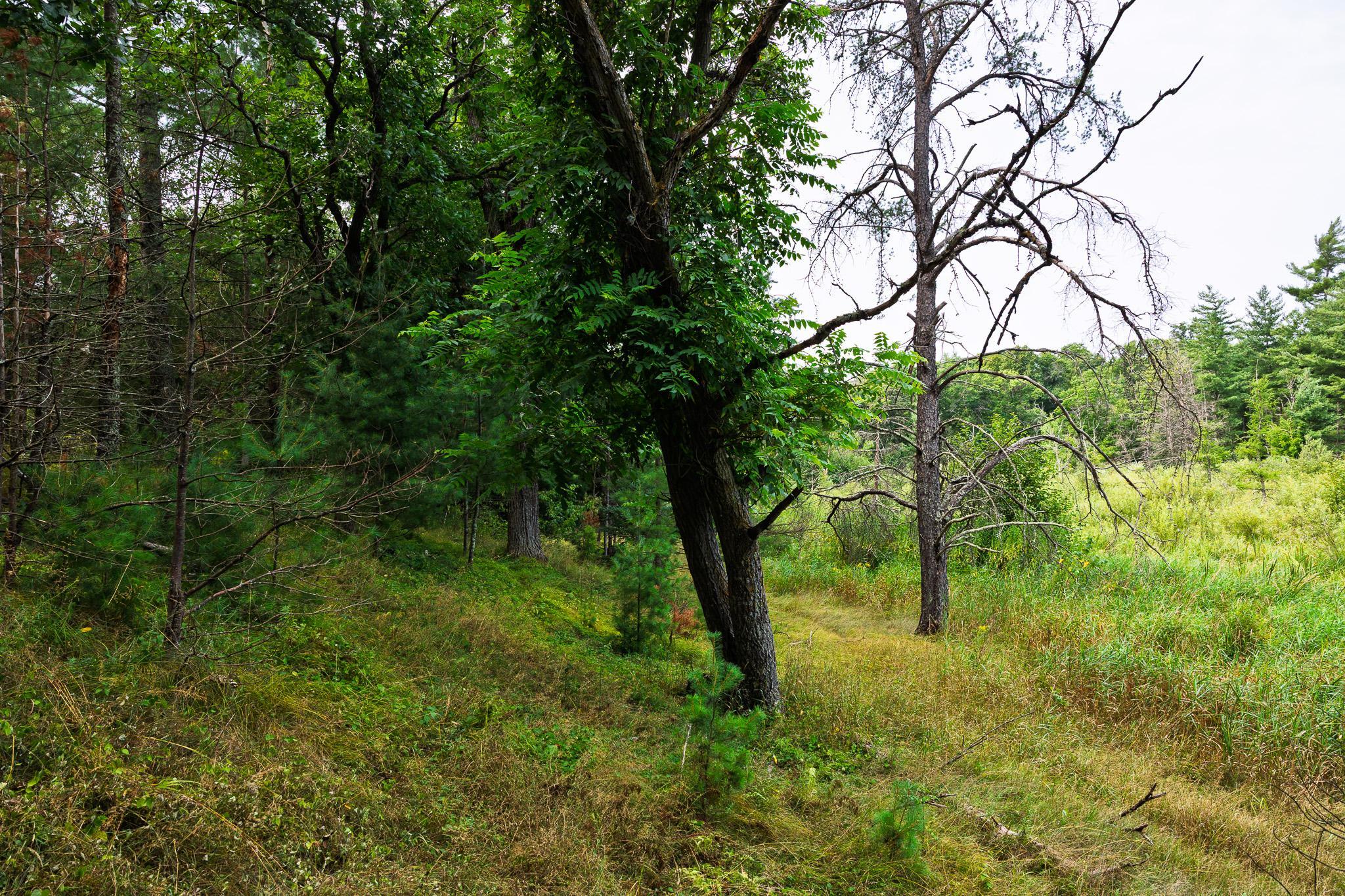 3R7A0788.jpg