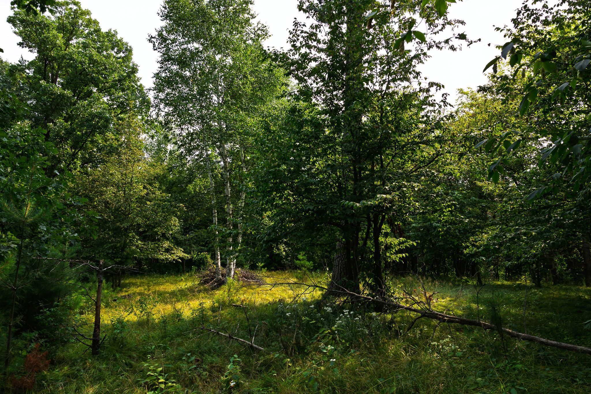 3R7A0836.jpg