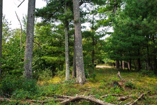 TBD County Road 23, Brainerd, MN 56401