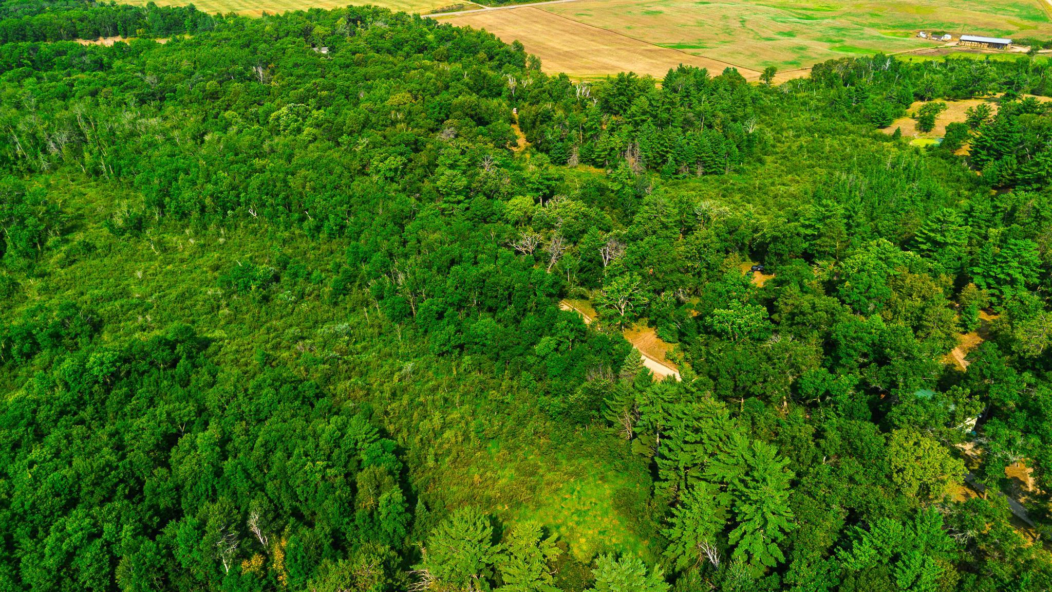 DJI_0146.jpg