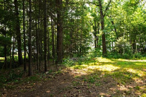 TBD County Road 23, Brainerd, MN 56401