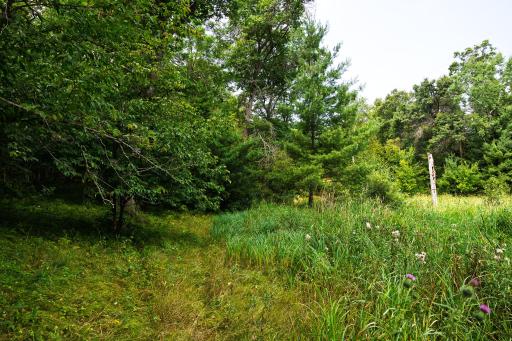 TBD County Road 23, Brainerd, MN 56401