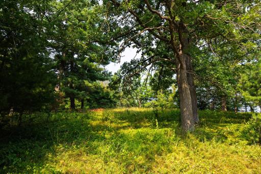 TBD County Road 23, Brainerd, MN 56401